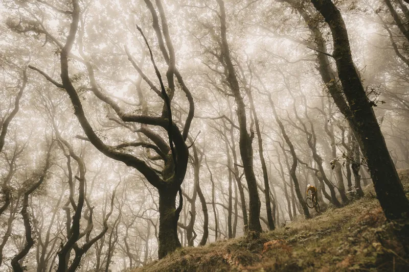 Goodyear Newton Trail MTF Mountain Bike Tubeless Complete - Front Tyre-2