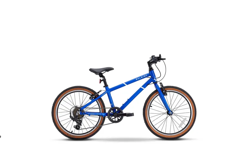 Raleigh Pop 20 in Blue