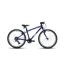 Frog Bikes Frog 61 Kids Bike In Electric Blue