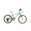 2020 Raleigh Pop 18 Kids Bike in Blue