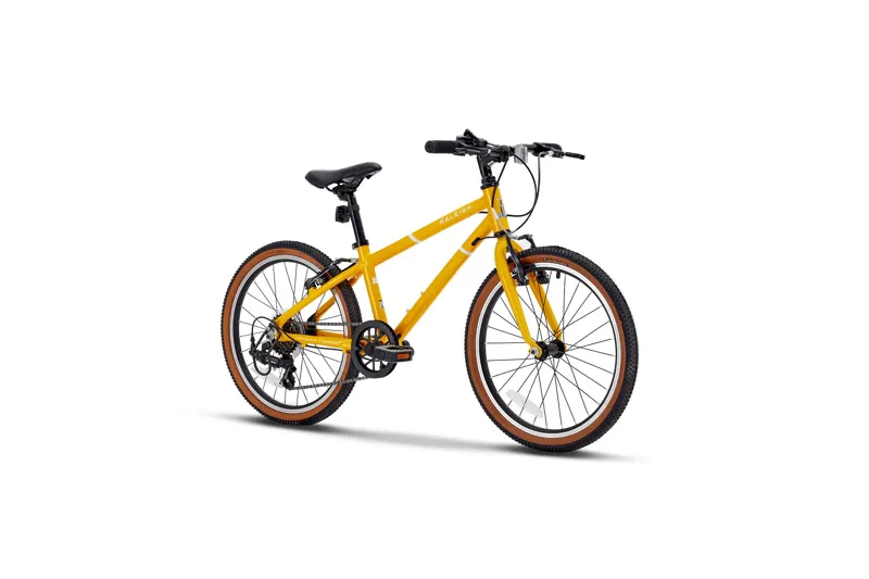 Raleigh Pop 20 in Mustard Yellow