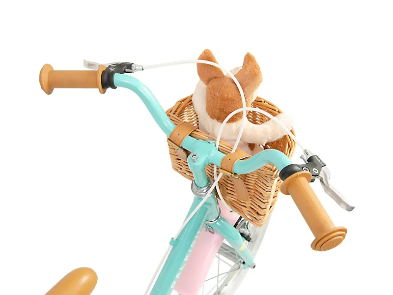 Raleigh Molli 16 inch Kids Bike - Aqua Blue-9