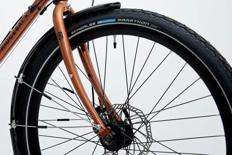 Ridgeback Expedition-4