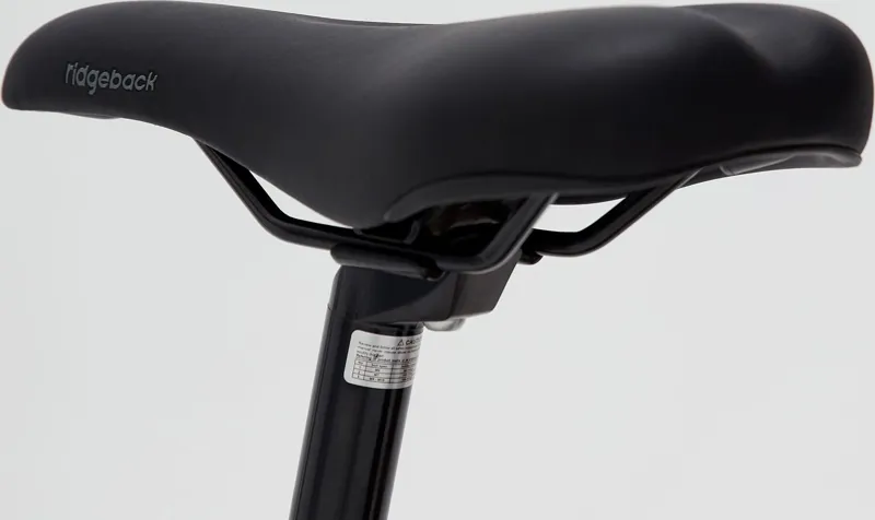 Ridgeback Destiny 24in Kids Bike in Silver-6