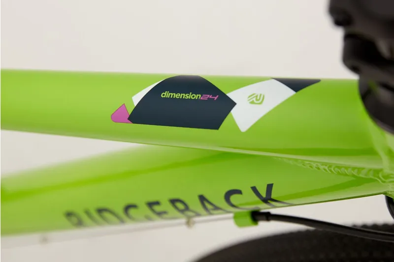 Ridgeback Dimension 24 Kids Bike in Green-4