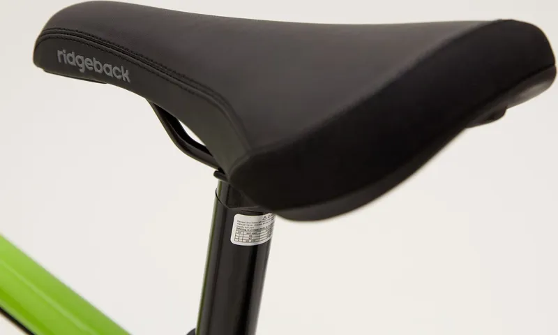 Ridgeback Dimension 24 Kids Bike in Green-6